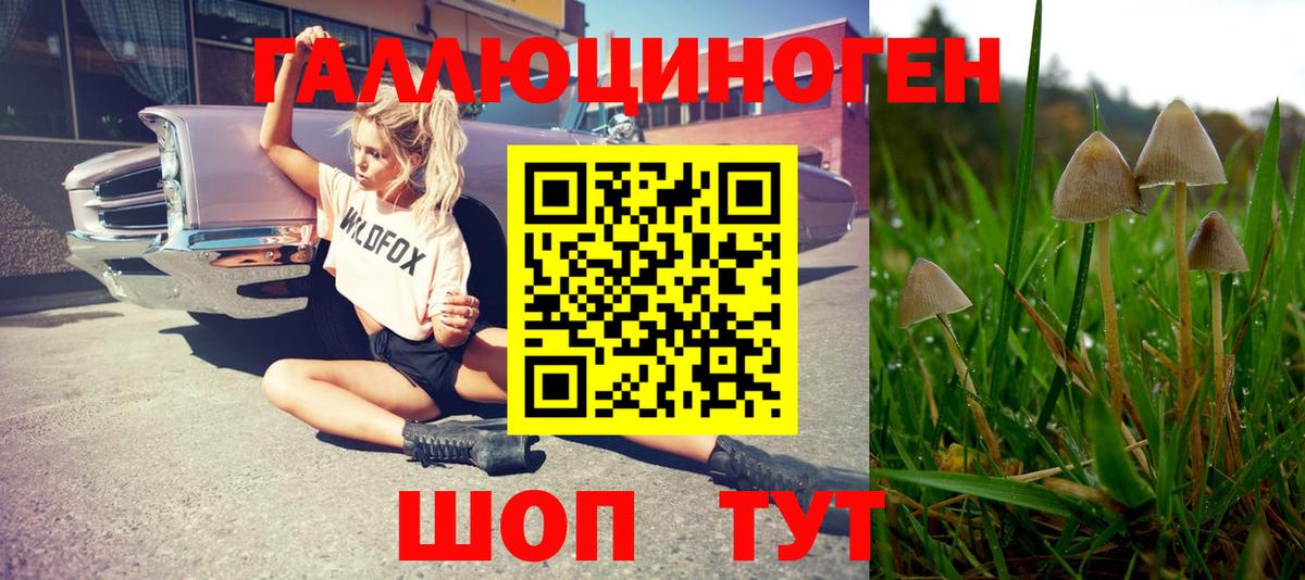 Галлюциногенные грибы Psilocybine cubensis  Вход с VPN  Балашов  Галлюциногенные грибы мицелий 